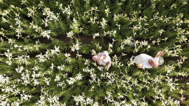 Foto - Hobi olarak başladı hayatını değiştirdi