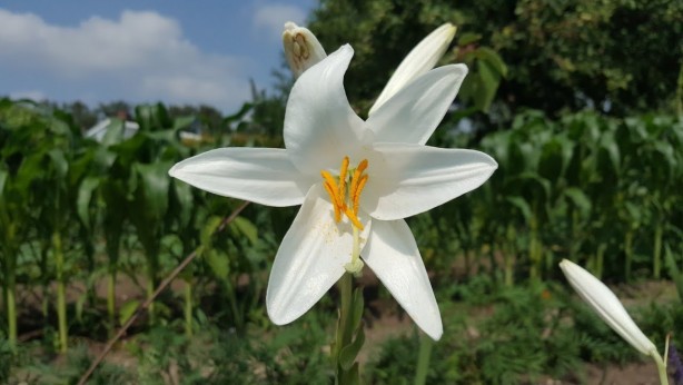 Foto - Hobi olarak başladı hayatını değiştirdi