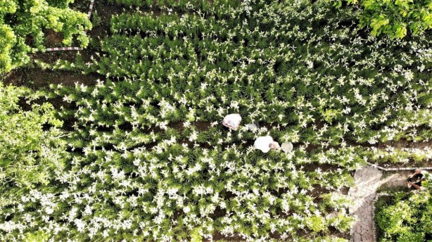 Foto - Hobi olarak başladı hayatını değiştirdi