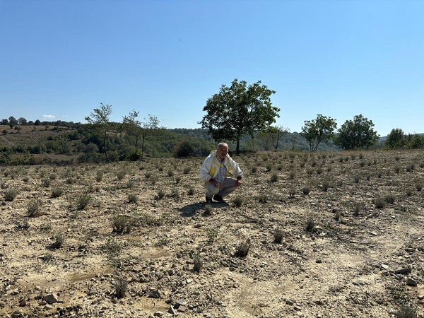 Foto - Hobi olarak başladı kilosunu 400 TL'ye satıyor