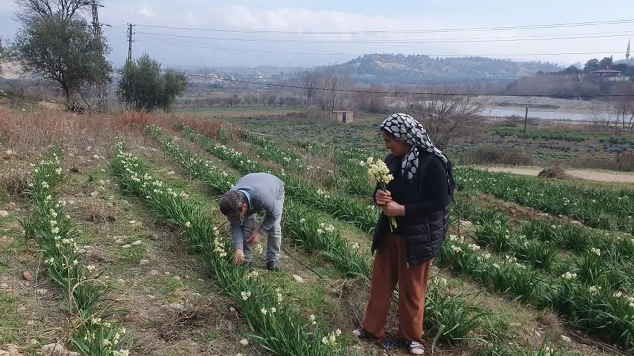Foto - Hobi olarak başladı! Paraya para demiyor