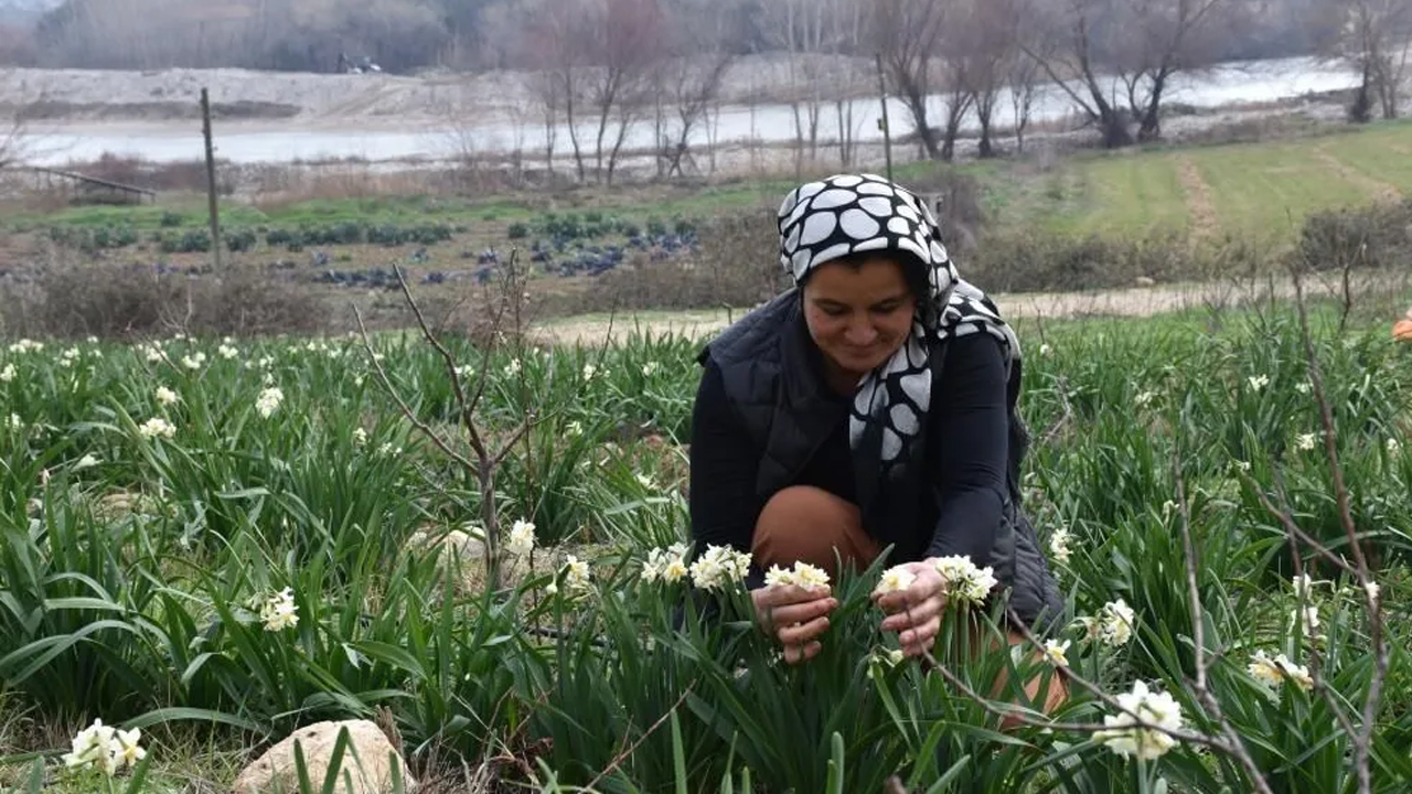 Hobi olarak başladı! Paraya para demiyor