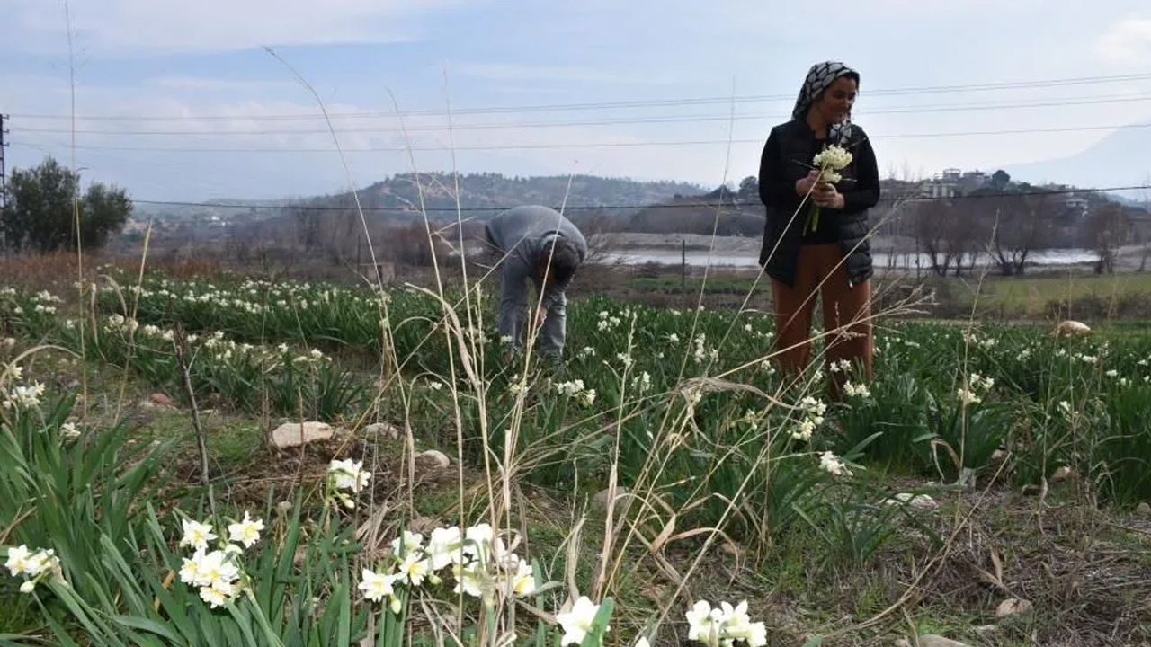 Foto - Hobi olarak başladı! Paraya para demiyor