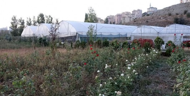 Foto - Hobi olarak başladı, şimdi taleplere yetişemiyor!