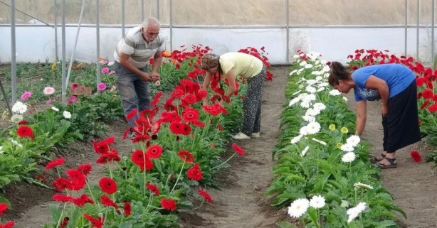 Foto - Hobi olarak başladı, şimdi taleplere yetişemiyor!