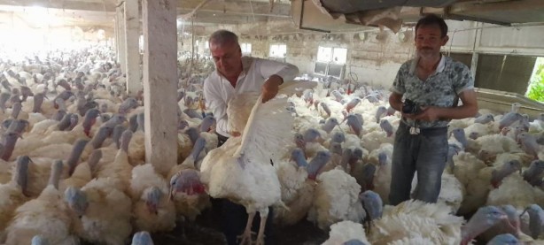 Hobi olarak başladı, şimdi taleplere yetişemiyor!