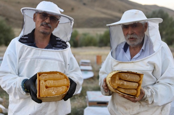 Foto - Hobi olarak başladılar 7 ton ürettiler