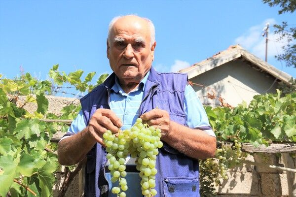 Foto - Hobi olarak başlamıştı! Şimdi market ve pazara gitmiyor