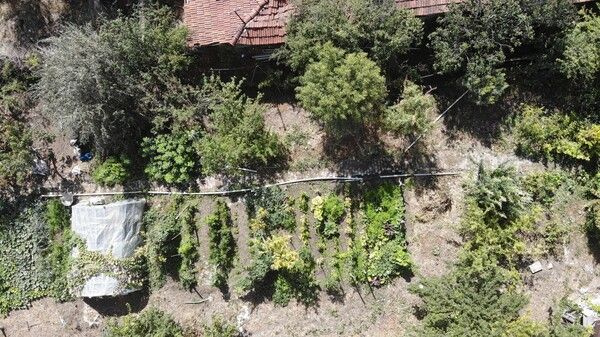 Foto - Hobi olarak başlamıştı! Şimdi market ve pazara gitmiyor