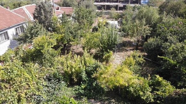 Foto - Hobi olarak başlamıştı! Şimdi market ve pazara gitmiyor