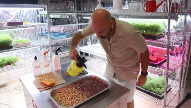 Hobi olarak başlamıştı, şimdi ticarete döktü! Bunu yaparak servet kazanıyor! Bu nasıl iş böyle 