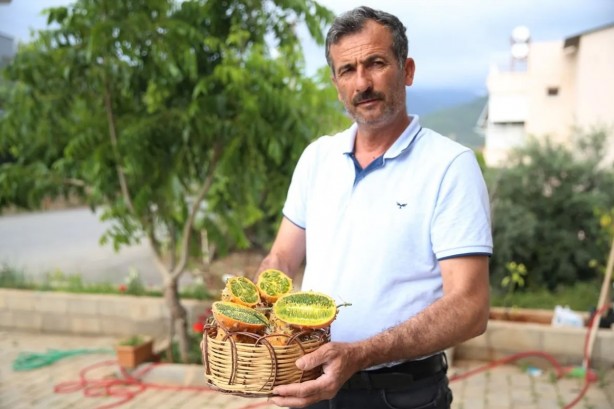 Foto - Denemek için başlamıştı... Tanesinin kaça satıldığını duyan bu işe girmek istiyor