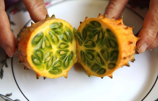 Foto - Denemek için başlamıştı... Tanesinin kaça satıldığını duyan bu işe girmek istiyor