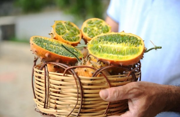Foto - Denemek için başlamıştı... Tanesinin kaça satıldığını duyan bu işe girmek istiyor