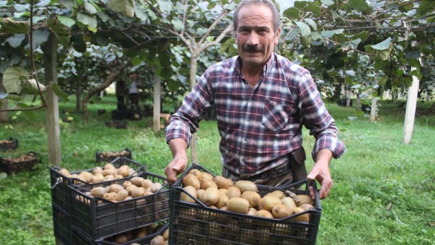 Foto - Hobi olarak başlamıştı, yıllık getirisi şimdi tam 100 milyon TL’ye ulaştı! Duyan o bölgeye koşuyor! Herkes ne olduğunu anlamaya çalışıyor