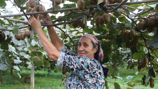 Foto - Hobi olarak başlamıştı, yıllık getirisi şimdi tam 100 milyon TL’ye ulaştı! Duyan o bölgeye koşuyor! Herkes ne olduğunu anlamaya çalışıyor