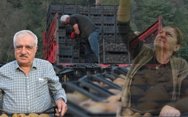 Hobi olarak başlamıştı, yıllık getirisi şimdi tam 100 milyon TL’ye ulaştı! Duyan o bölgeye koşuyor! Herkes ne olduğunu anlamaya çalışıyor