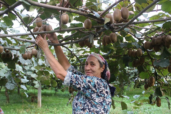 Foto - Hobi olarak başlandı yılda bakın ne kadar kazandırıyor