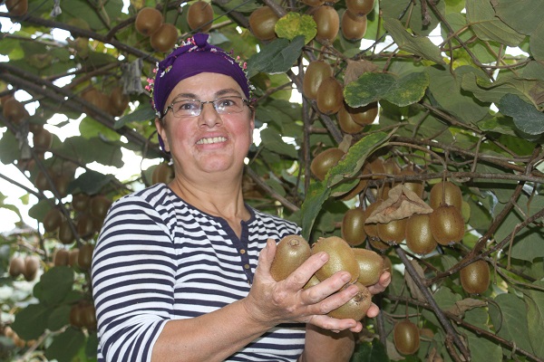 Foto - Hobi olarak başlandı yılda bakın ne kadar kazandırıyor