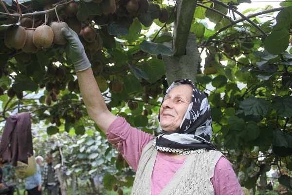 Foto - Hobi olarak başlandı yılda bakın ne kadar kazandırıyor