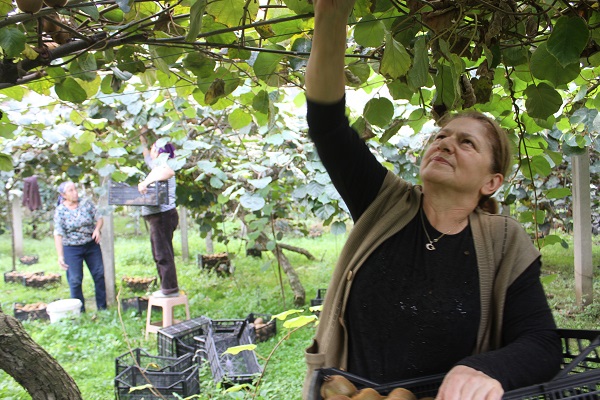 Foto - Hobi olarak başlandı yılda bakın ne kadar kazandırıyor