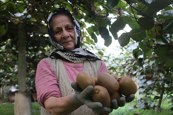 Foto - Hobi olarak başlandı yılda bakın ne kadar kazandırıyor