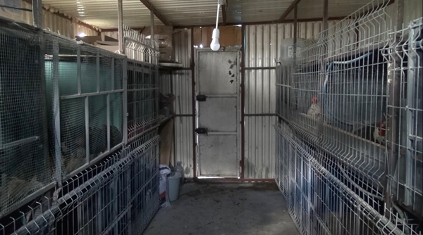 Foto - Hobi olarak başlayıp kendi işini kurdu... 200 TL ile 2 bin 500 TL arasında satıyor