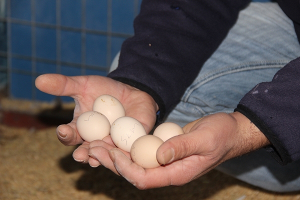 Foto - Hobi olarak başlayıp kendi işini kurdu... 200 TL ile 2 bin 500 TL arasında satıyor