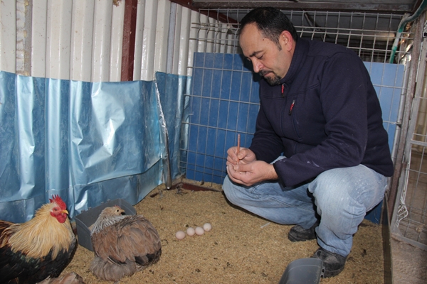 Foto - Hobi olarak başlayıp kendi işini kurdu... 200 TL ile 2 bin 500 TL arasında satıyor