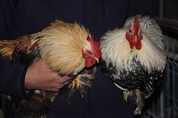 Foto - Hobi olarak başlayıp kendi işini kurdu... 200 TL ile 2 bin 500 TL arasında satıyor