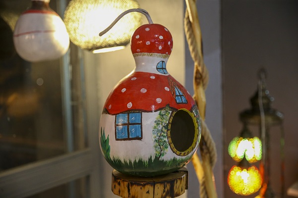 Foto - Hobisi girişim hikayesine dönüştü