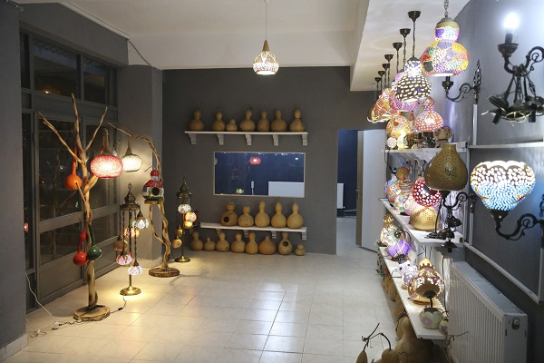 Foto - Hobisi girişim hikayesine dönüştü