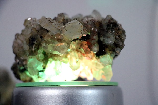 Foto - Hobisi hayatını değiştirdi! Evini müzeye çevirdi satış yapmaya başladı