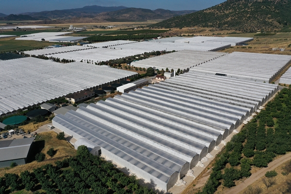 Foto - Hollanda engeli sonunda kalktı... Artık Türkiye'ye muhtaçlar
