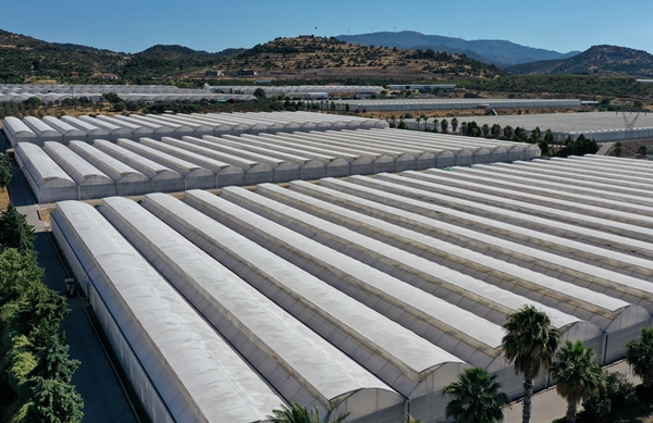 Foto - Hollanda engeli sonunda kalktı... Artık Türkiye'ye muhtaçlar