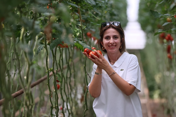 Foto - Hollanda engeli sonunda kalktı... Artık Türkiye'ye muhtaçlar
