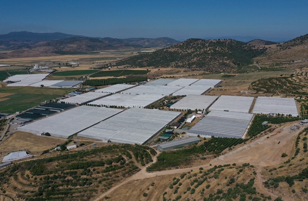 Foto - Hollanda engeli sonunda kalktı... Artık Türkiye'ye muhtaçlar