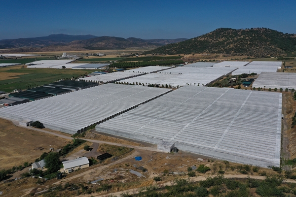 Foto - Hollanda engeli sonunda kalktı... Artık Türkiye'ye muhtaçlar