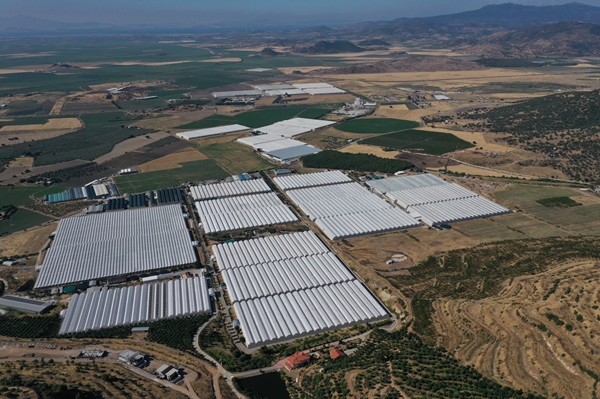 Foto - Hollanda engeli sonunda kalktı... Artık Türkiye'ye muhtaçlar