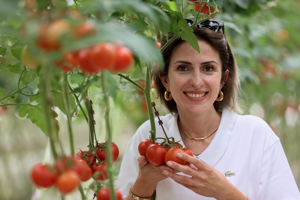 Foto - Hollanda engeli sonunda kalktı... Artık Türkiye'ye muhtaçlar