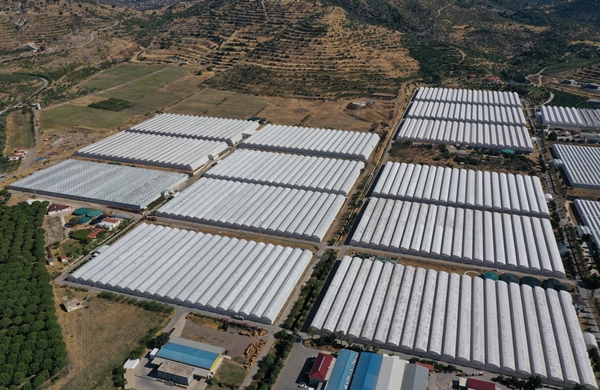 Foto - Hollanda engeli sonunda kalktı... Artık Türkiye'ye muhtaçlar