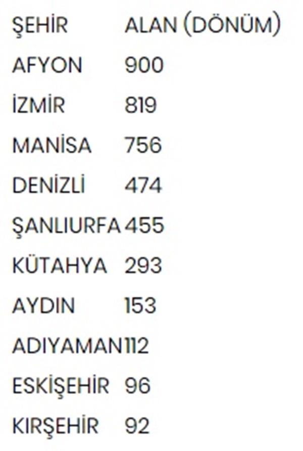 Foto - Hollanda engeli sonunda kalktı... Artık Türkiye'ye muhtaçlar