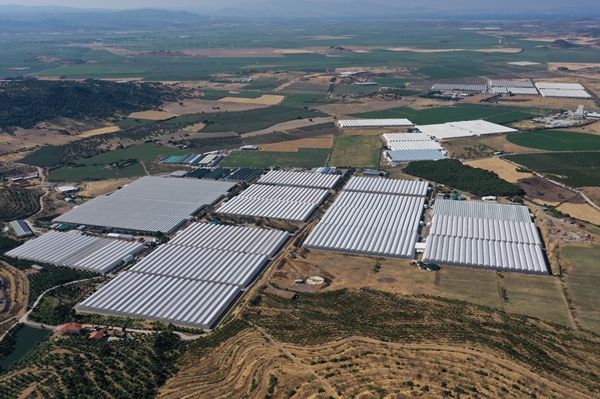 Hollanda engeli sonunda kalktı... Artık Türkiye'ye muhtaçlar