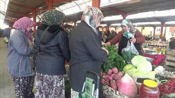 Foto - Hollanda'dan gelen tohumu bahçesine ekti! Sonrasında olanlar tüm Türkiye'yi şaşkına çevirdi, her yerden onu arıyorlar