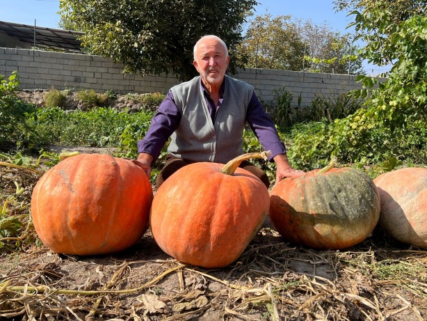 Foto - Hollanda'dan gelen tohumu bahçesine ekti! Sonrasında olanlar tüm Türkiye'yi şaşkına çevirdi, her yerden onu arıyorlar