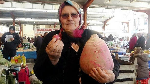 Foto - Hollanda'dan gelen tohumu bahçesine ekti! Sonrasında olanlar tüm Türkiye'yi şaşkına çevirdi, her yerden onu arıyorlar