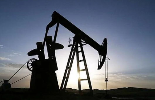 Foto - Hollandalı petrol şirketi ile o ilimizdeki köylüler anlaşamadı! Petrol olduğu düşünülen arazi kamulaştırılacak