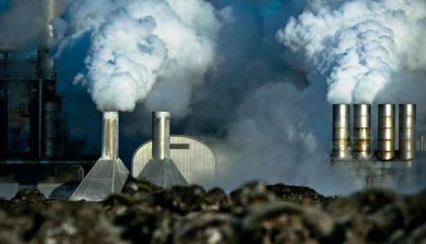 Hollandalılar beyaz petrol için o ilimize gözünü dikti! Çuvallar dolusu parayla geliyorlar