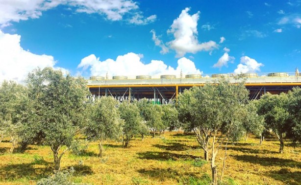 Foto - Hollandalılar beyaz petrol için o ilimize gözünü dikti! Çuvallar dolusu parayla geliyorlar