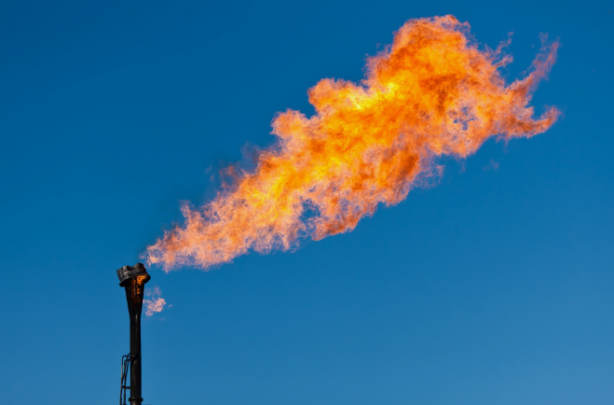 Foto - Hollandalılar o ilimizde harekete geçti! Kuyu açıp karış karış arayacaklar